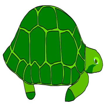 turtle